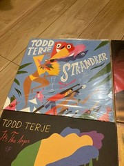 Todd Terje Olsen 6 Vinyl Record Set Disco Balearic Synth 2010s Collection