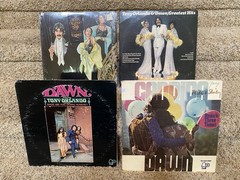 VINYL RECORD GRAB BAG! 10 ASST Music Albums, LP Bulk Lot, G-VG, FREE SHIPPING!