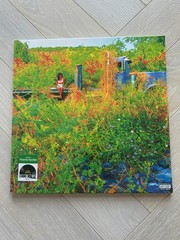 Jhene Aiko Trip 2LP Picture Disc Vinyl RSD 2026 (Sealed)