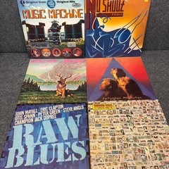 Rock & Pop Vinyl LP Lot The Police Little Feat Raw Blues Rough Mix 6 Records