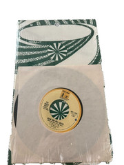 Ultimate Beach Boys 45 RPM Collection. Picture Sleeves and 45s in one place!
