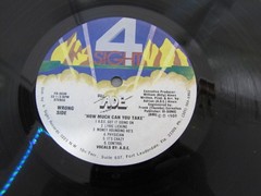 MC A.D.E. How Much Can You Take 12” Vinyl Record Old School Bass Speaker Music