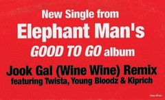 Elephant Man – Jook Gal (Remixes) (12″) (Good (G)) – 3850627927
