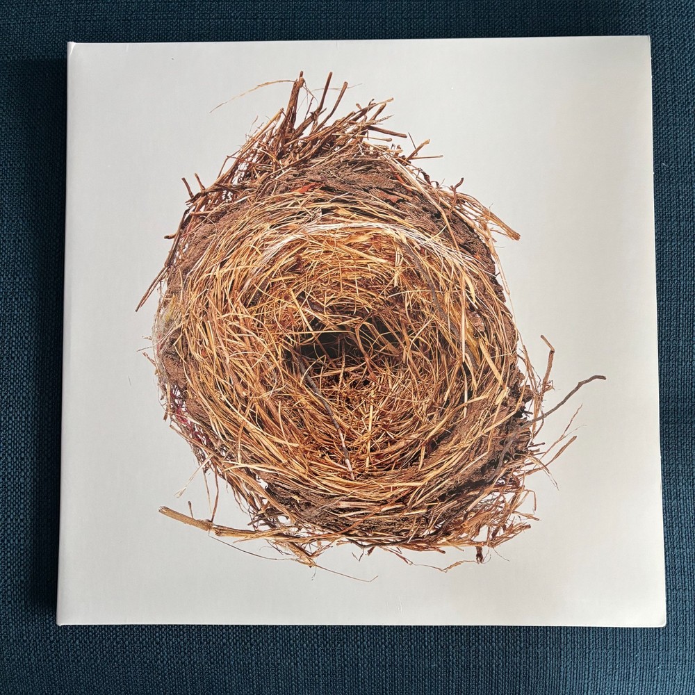 A Ghost is Born vinyl – Wilco – Nonesuch Rhino 2010s Pressing 2LP