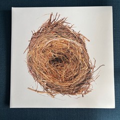 A Ghost is Born vinyl – Wilco – Nonesuch Rhino 2010s Pressing 2LP