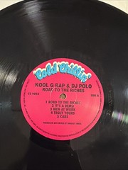 Kool G Rap & DJ Polo “Road To The Riches” LP Cold Chillin Rap Hip Hop Reissue