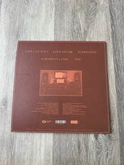 Larry Lovestein the Velvet Revival You RSD 2023 Vinyl, Mac Miller used