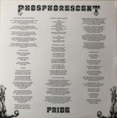 Phosphorescent – Pride (LP, Album) (Mint (M)) – 3982464067