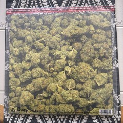 Dr. Dre 2001 Instrumentals (Anniversary Edition) 2LP ALT COVER ZIPLOC Green LMT