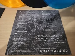 Evergrace Vinyl 3 LP Record VGM OST Kota Hoshino PS2 Not Moonshake 2d Ninja