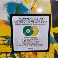 Empire Records Movie Music Soundtrack Emerald & Lemonade Vinyl 2LP [NEW *Bumps+]