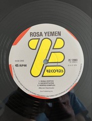 Rosa Yemen Vinyl Record ZE Records 1979 Post-Punk Experimental Album EX+