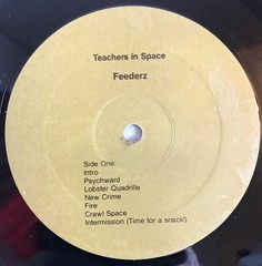 Feederz Teachers in Space Lp 1986 original with insert AZ punk rock