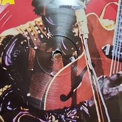 Framed Chuck Berry Back In The USA Vinyl LP Picture Disc 12×12 Wall Art Display