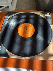 The Edgar Winter Group ‎– They Only Come Out At Night – 1973 Vinyl LP – VG
