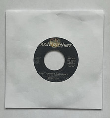 Survivor Eye Of The Tiger/Take You On A Saturday ZS5 02912 1982 Vinyl 7″ 45 VG