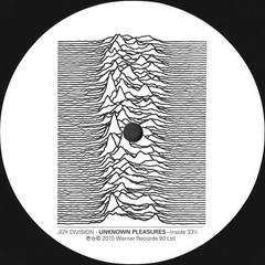 Joy Division – Unknown Pleasures | 180g Audiophile Vinyl LP