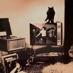 ALTERNATIVE TV How Much Longer Records & LPs New