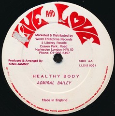 Admiral Bailey – Punanny / Healthy Body (12″) (Fair (F)) – 3850621681