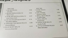 Ray Svestka Krsne Vzpominky Beautiful Memories Czech Polka Accordian LP record