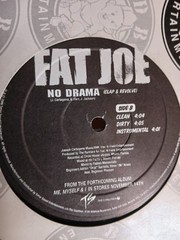 FAT JOE VINYL LIL WAYNE JON NOTORIOUS BIG PUN NELLY TYGA POLO G UNIT 50 CENT DMX