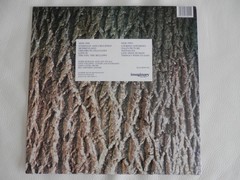 THE CHAMELEONS- DALI’S PICTURE UK LP ILLUSION/IMAGINARY RECORDS