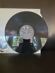 Def Jam STREETS IS WATCHING 12” Vinyl Soundtrack Promo Double Album