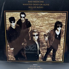 Bon Jovi “Greatest Hits”-Rock Island Records USA Tiger Eye LP Vinyl New Mint