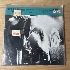 Screaming Trees Change Has Come Sub Pop SP48 7″ 45 RPM (2) Records 1989 Rare