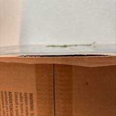 The Beatles – Something New – Vinyl LP Excellent Condition Stereo (EX/VG+)