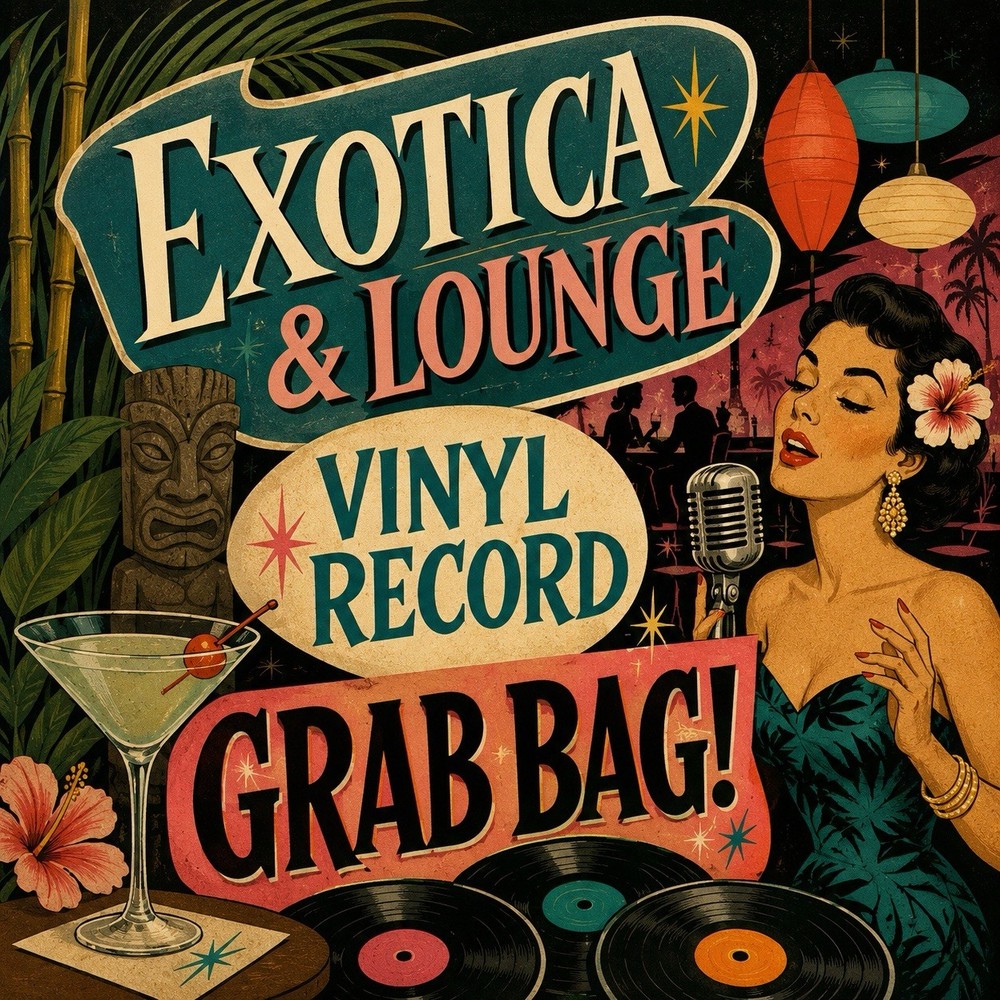 EXOTICA / LOUNGE MUSIC VINYL RECORD GRAB BAG! 10 ASST Albums LP Lot, FREE SHIP!