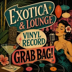 EXOTICA / LOUNGE MUSIC VINYL RECORD GRAB BAG! 10 ASST Albums LP Lot, FREE SHIP!