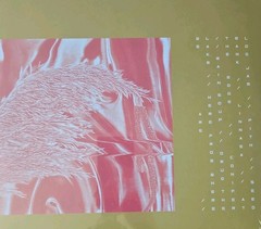 34 x 12″ Industrial Experimental Abstract IDM Electronic Ambient Mint Vinyl LPs