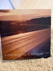 TWO GALLANTS What The Toll Tells 2006 2LP VG+ 180G Plays Well Saddle Creek