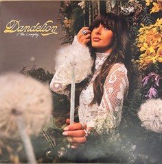 Ella Langley – Dandelion 2 x LP SEALED NEW COLORED VINYL RECORD – VG+ SLV