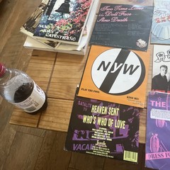 Lot Of 12 Punk Rock 7″/45 Vinyl Single Records -Blanks 77, TKO,Rip Off Records