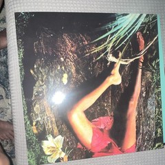Roxy Music Roxy Music Polydor Records Red Colored Vinyl LP 12″ 33 RPM Rock