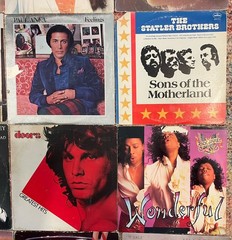 Vintage Vinyl Record Lot of 17 LPs – 70s 80s Rock Pop Soul Country Doors Summer