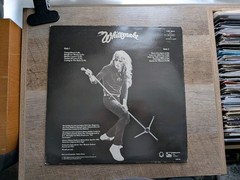 WHITESNAKE – Saints and Sinners – Vinyl LP Album -LBG30354 great condition