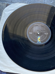 Legend The Best Of Bob Marley And The Wailers Vinyl Record