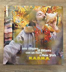 N.A.D.M.A. Uno Zingaro Di Atlante LP RCA 1973 First Press Italian Prog Promo