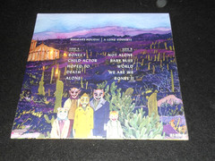 BUSMAN’S HOLIDAY LP Still Sealed RED VINYL A Long Goodbye 2014 Chamber Pop JNOIS