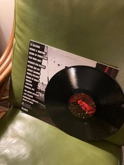 Bad Religion – New Maps Of Hell – LP Vinyl Punk Rock 2007 VG+