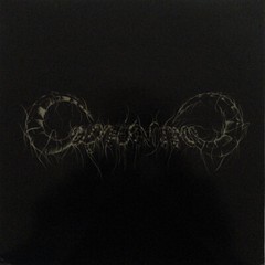 Capricorns – Capricorns – 2004 Rise Above Records – Vinyl