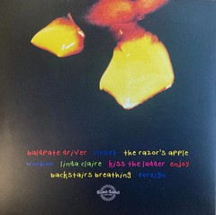 Fleshwater – We’re Not Here To Be Loved [CLEAR w/ WHITE VINYL]