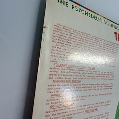 The PSYCHEDLIC SOUNDS OF: The 13th FLOOR ELEVATORS ~ RARE LP ~ 4 COLUMN ~ 1960s!