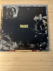 Lana Del Rey Paradise Interscope Parental Advisory 2010s Vinyl LP Album
