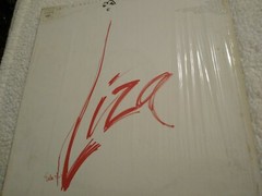 Liza Minnelli Live At The Winter Garden – Columbia 1974 LP # PC 32854 – Good