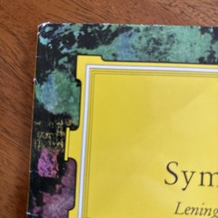 Tchaikovsky Symphony No. 4 in F Minor Leningrader SLPM 138 657 DGG Release 1/63
