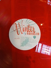 Winter Warnerland – 1988 WB Holiday Promo Album Color Vinyl (NM)